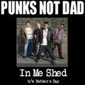 Punks Not Dad - In Me Shed - CD (2009)
